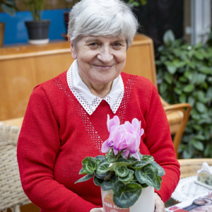 Seniorka w czerwonym sweterku z kwiatem w doniczce w dłoniach.