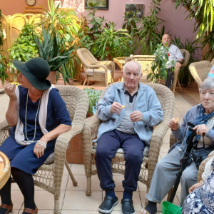 Siedem osób siedzących w fotelach przy ogrodowych stolikach, w wypełnionym roślinami patio.