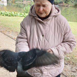 Kobieta karmiąca ptaki w parkowej alejce.