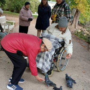 Pięć osób karmiących gołębie w alejce parku.