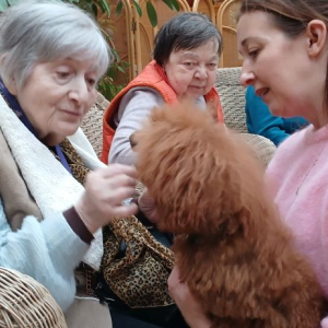 Mieszkanka karmi pieska.jpg