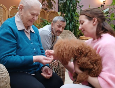 Mieszkanka karmi psa