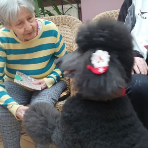 Mieszkanka z psem.jpg