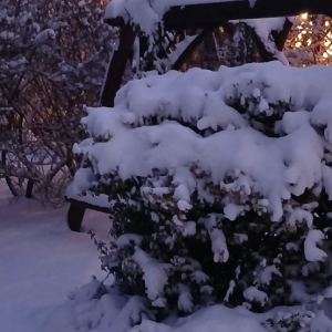 Podwórko w śniegu.jpg