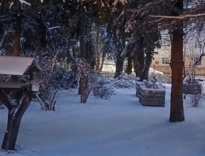 Ogrodowe alejki spowite śniegiem