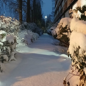 Zasypane śniegiem podwórko od frontu.jpg