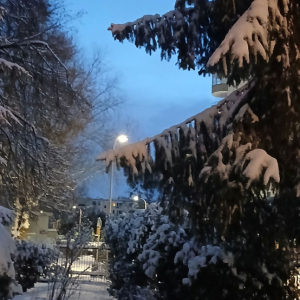 Podwórko od frontu.jpg