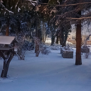 Ogrodowe alejki spowite śniegiem.jpg