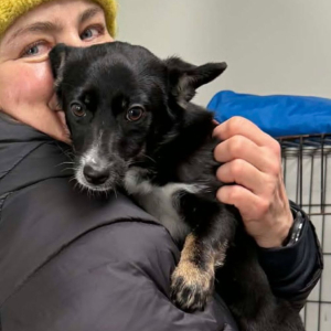 z pieskiem na rękach.jpg