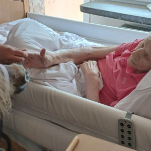 Kucyk odwiedza leżącą Mieszkankę.jpg