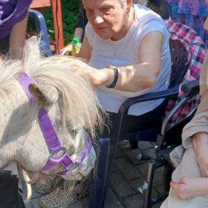Mieszkanki witają się z kucykiem.jpg