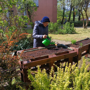 Kobieta podlewająca rośliny wysiane w ogrodowych skrzyniach