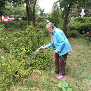 Kobieta podlewająca krzewy w ogrodzie